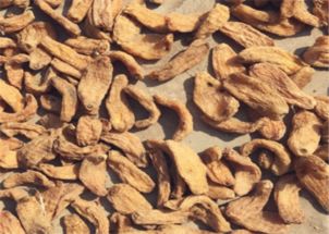 天麻的功效、食用方法與禁忌人群